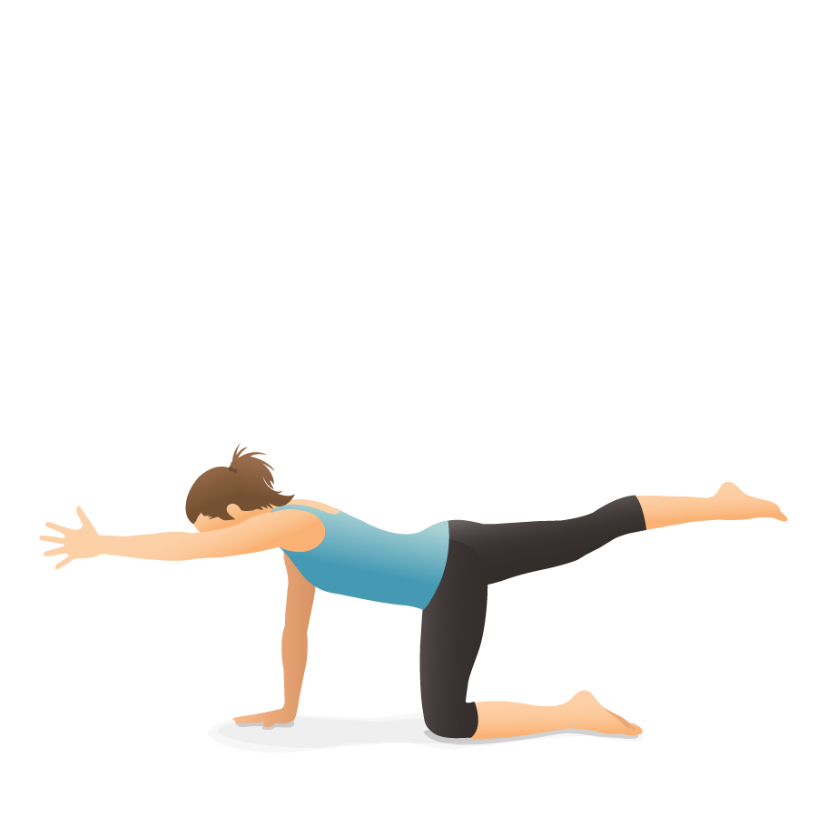 Yoga Basics, Part 2: Most Common Poses - Palermo Physiotherapy & Wellness  Centre Oakville