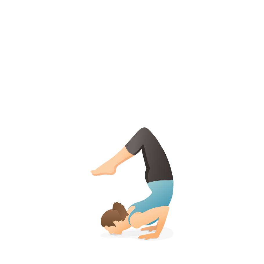 Vrischikasana - Scorpion yoga Pose Benefits #yogaposes #inversion - YouTube