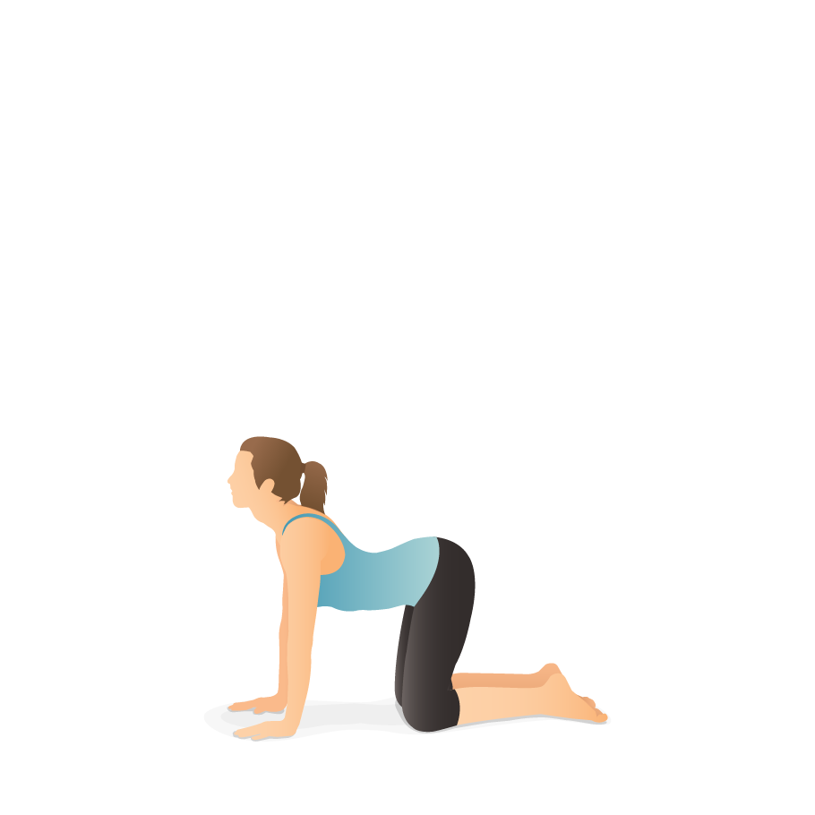 Young Woman Doing Bitilasana Exercise Stock Image - Image of exercise,  body: 153546361