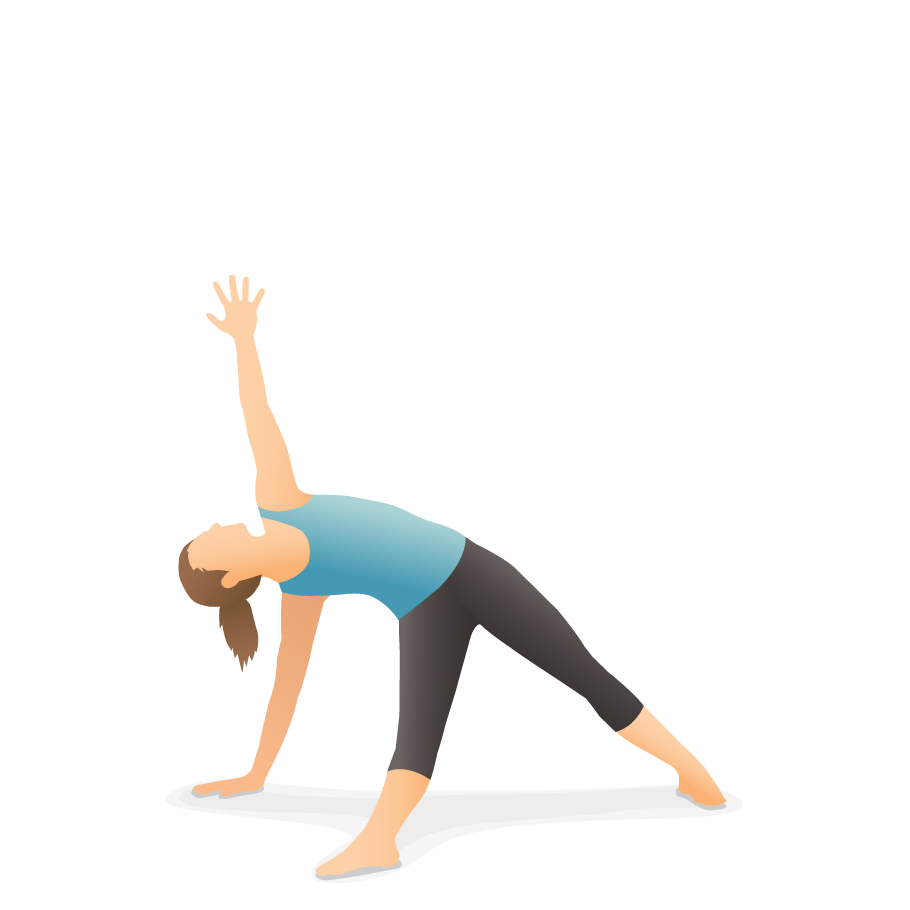TRIKONASANA - Triangle Posture | Steps, Benefits, Cautions - Patanjalee  Institute of Yoga & Yoga Therapy
