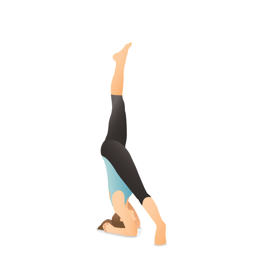 Basic shoulder blades work in supine, front-side-one leg balance-standing  asana, in forward extension and preparation to sirsasana – recorded classes  - 09.15 - Budapest - Online Iyengar