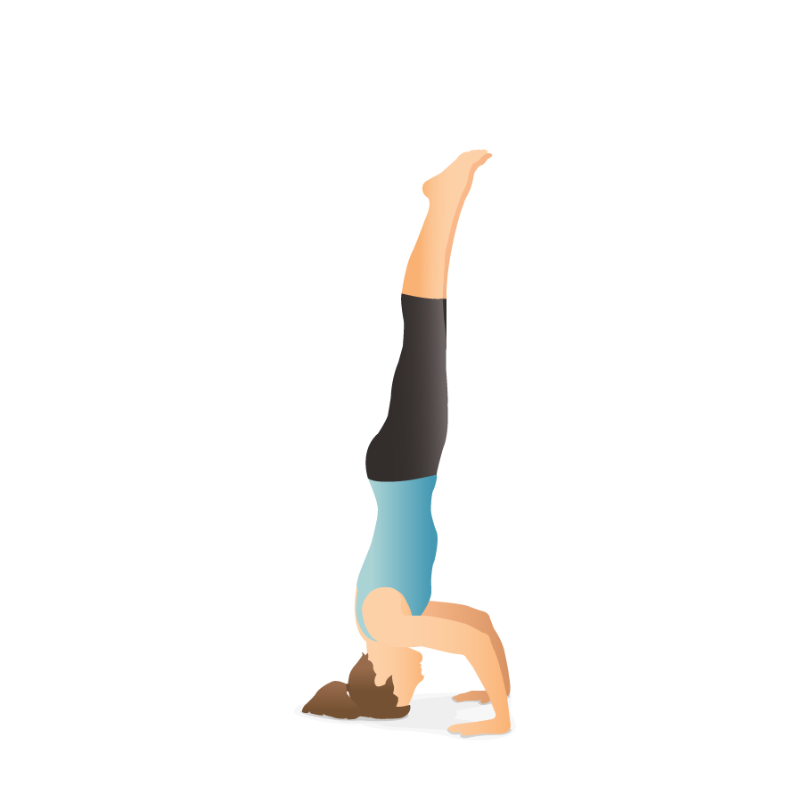 Headstand - Salamba Sirsasana – All you should know about the pose