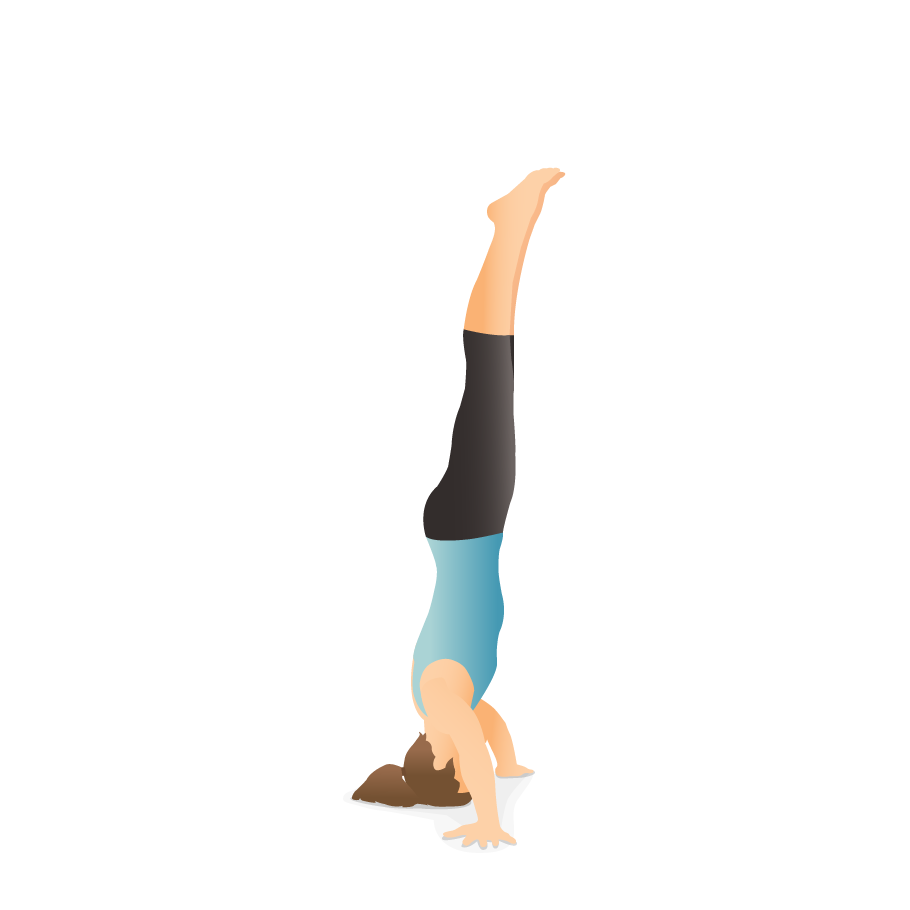 Hatha Yoga Asanas : Pocket Guide For Personal Practice: Hatha Yoga Poses  (Paperback) - Walmart.com