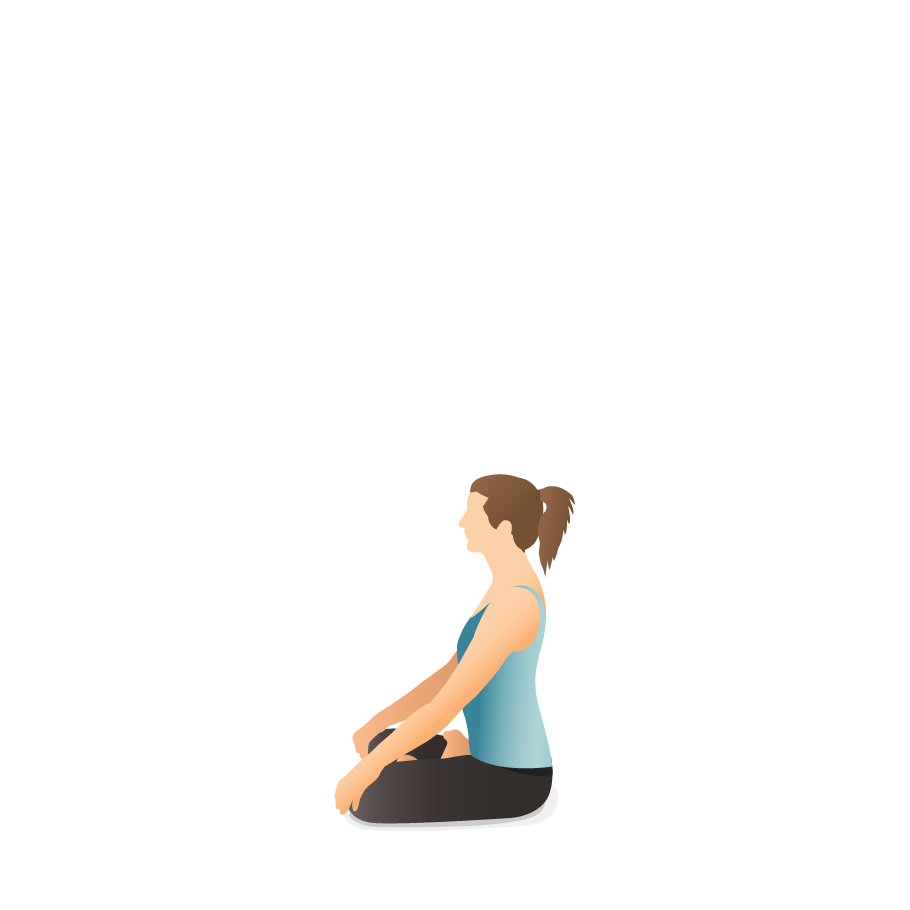 Yoga Lotus Pose Padmasana Healthy Exercise Routine Stock Image - Image of  figure, fitness: 19509117