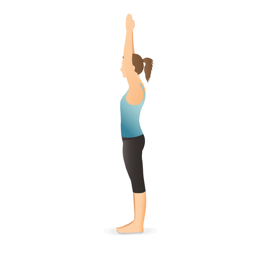 Yoga, Yoga Pose, Tree Pose, Vrikshasana, Stretching, Stretch, Exercise,  Gymnastics, Physical Fitness, Workout, png | PNGWing