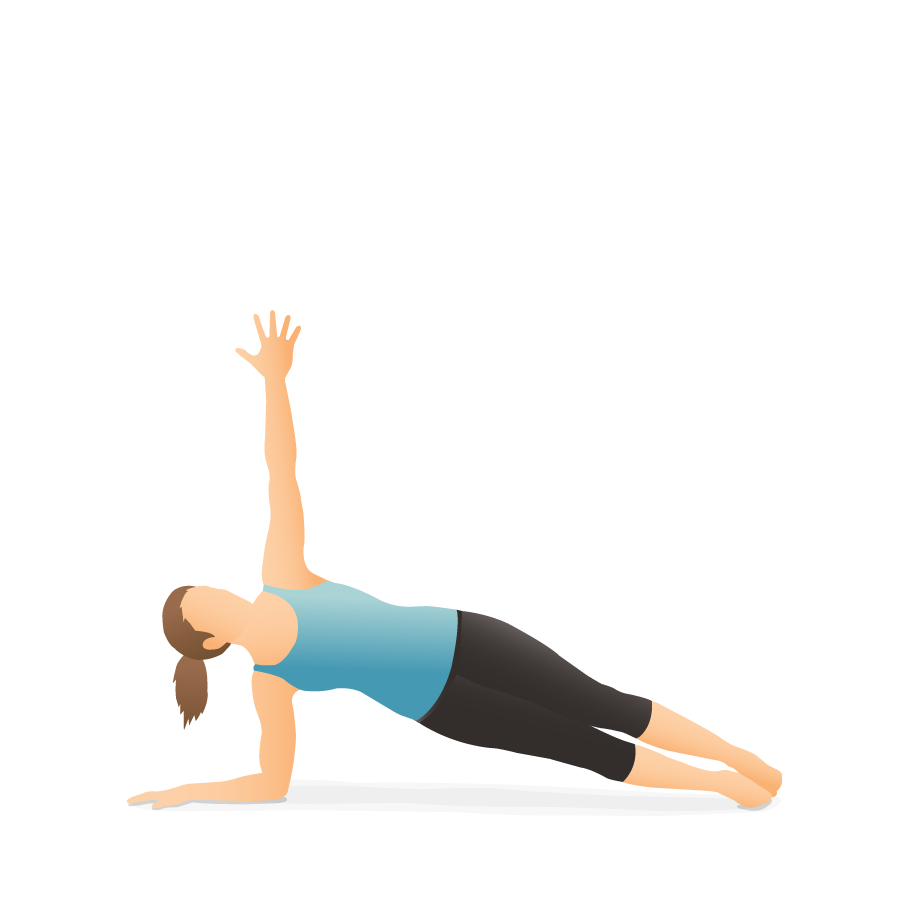 Plank Pose (Phalakasana) - Yoga Pose