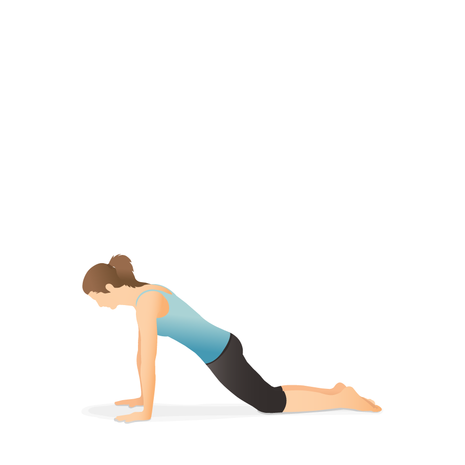 3d Illustration Woman Yoga Low Plank Stock Illustration 1570866745 |  Shutterstock