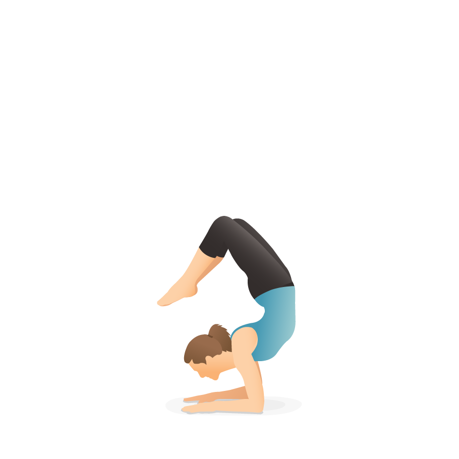 scorpion yoga pose