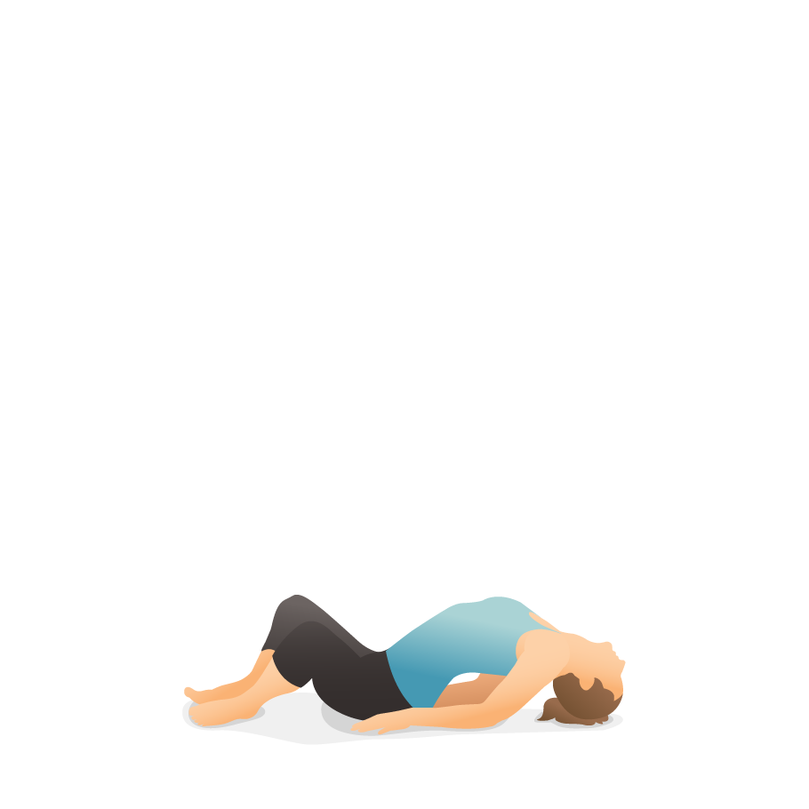 Infographics Of Yoga Pose. Benefits And Contraindications Of Bridge Yoga  Pose. Cartoon Style Illustration Isolated On White Background. Royalty Free  SVG, Cliparts, Vectors, and Stock Illustration. Image 103397179.