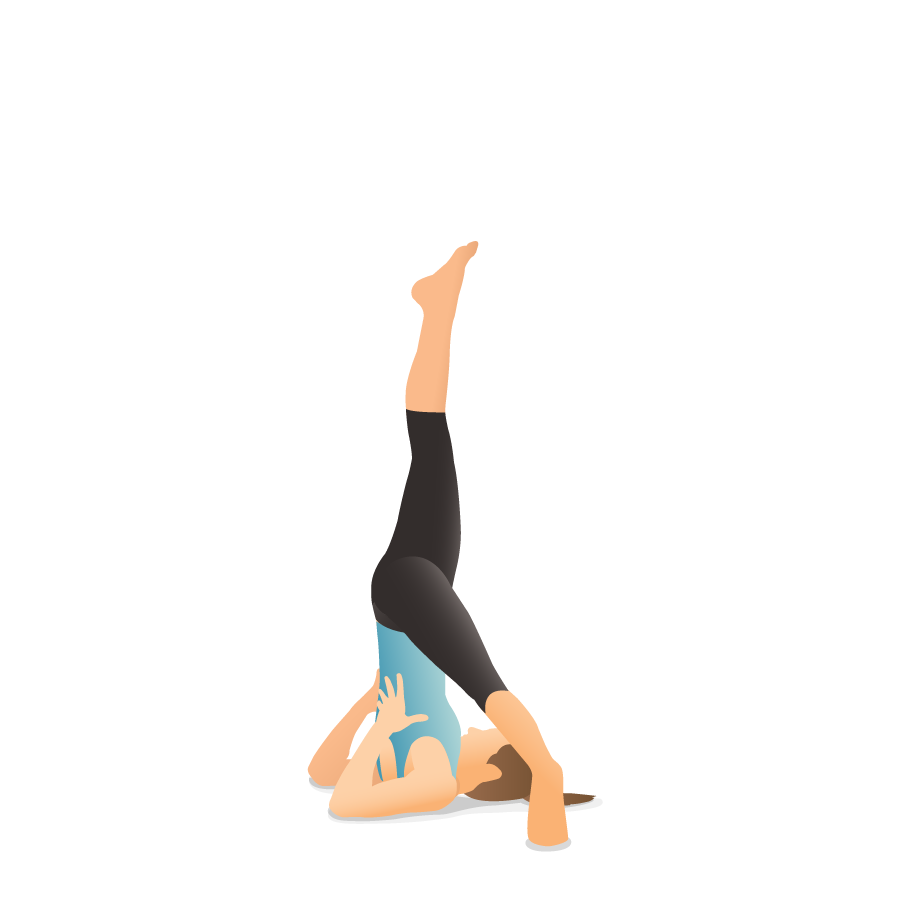 Supported shoulder stand yoga workout. Salamba... - Stock Illustration  [78075846] - PIXTA