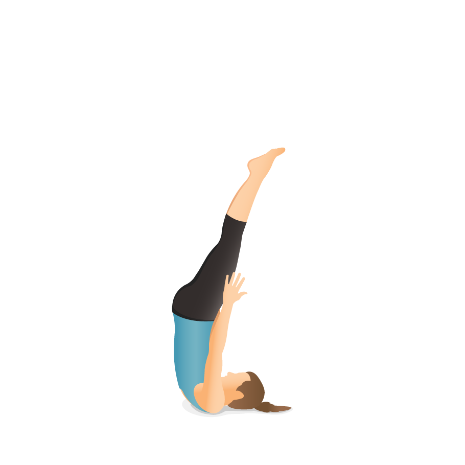 Supported shoulder stand yoga workout salamba Vector Image