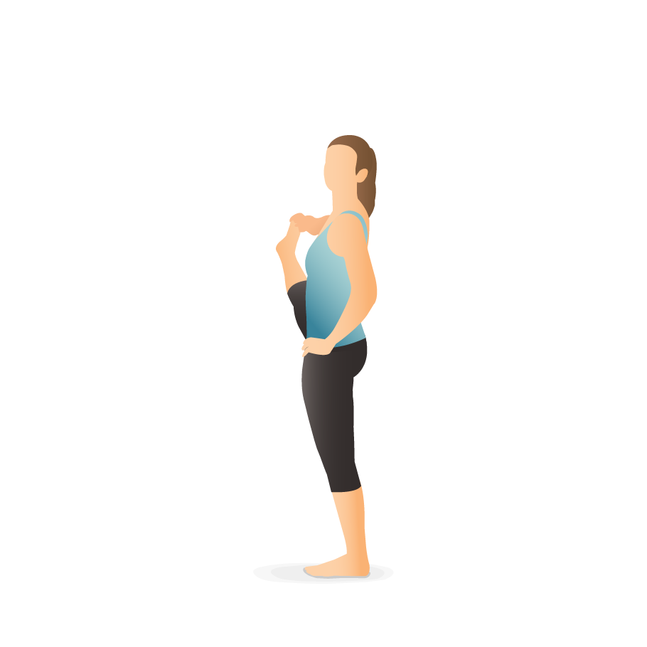 Yoga anatomy: Standing Big-Toe Hold Pose (Utthita Hasta Padangusthasana) |  Om Yoga Magazine
