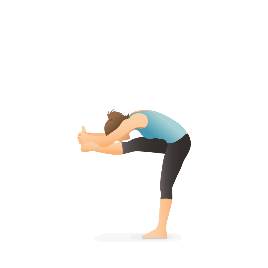 Man doing head to knee forward bend pose Janu sirsasana exercise. Flat  vector illustration isolated on white background 16138066 Vector Art at  Vecteezy