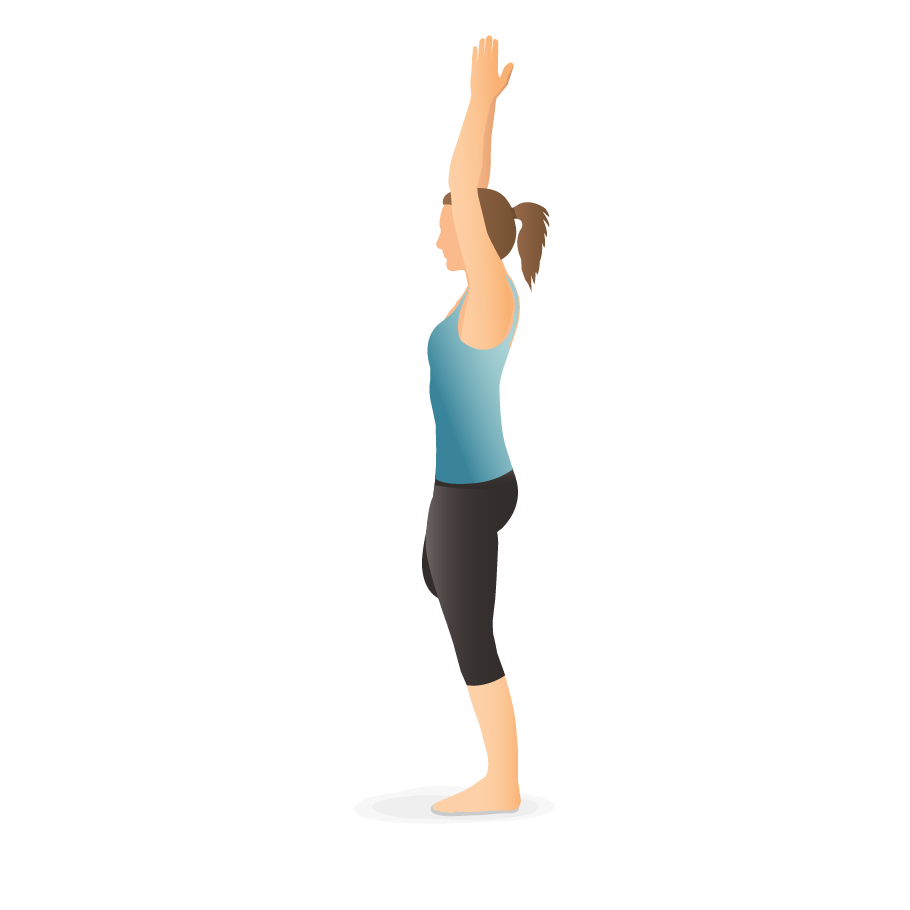 Yoga Pose: Tree with Arms Up | Pocket Yoga