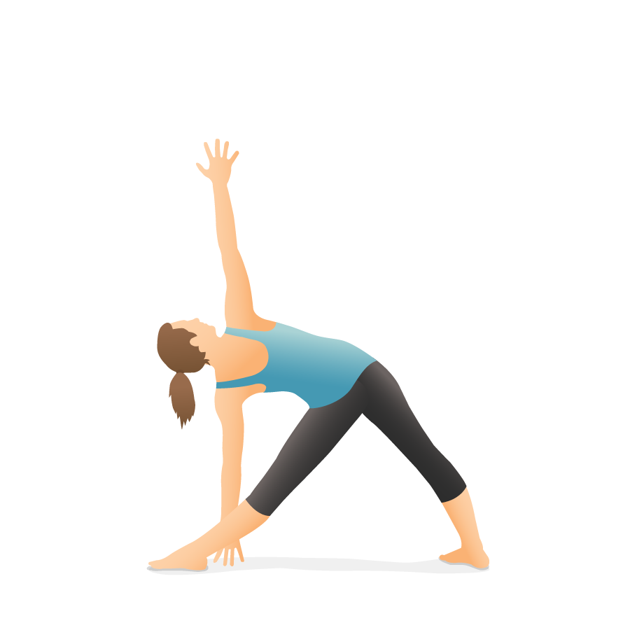 Alignment in Triangle Pose / Trikonasana — Yoga Alignment Guide