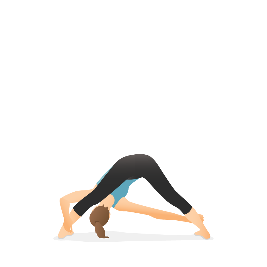 Premium Vector | Standing forward bend yoga pose young woman practicing yoga  exercise