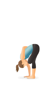 Hatha Yoga Poses Chart: 60 Common Yoga Poses and Their Names - A Reference  Guide to Yoga Asanas (Postures) 8.5 x 11 Full-Color 4-Panel Pamphlet: The  Mindful Word: 9781988245638: : Books